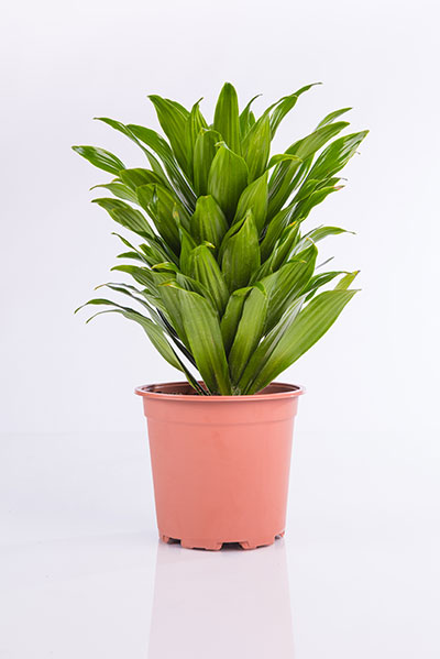 image02