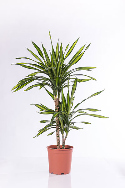 image02