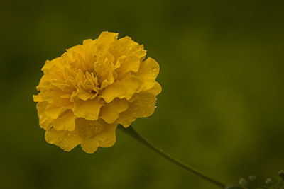 image02