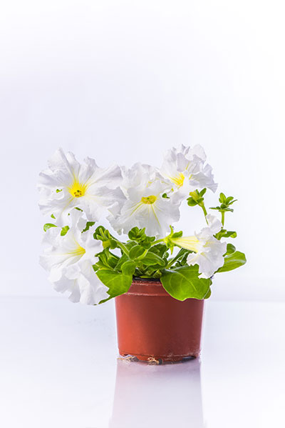 image01